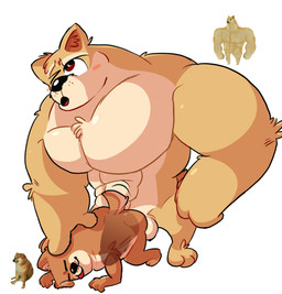 anal anal_penetration anthro genitals lgbt_pride male male/male meme_face meme_pose muscular muscular_male penetration penis sex shitpost dogelore cheems doge canid canine mammal hi_res meme