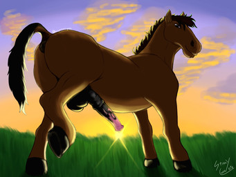 anatomically_correct anatomically_correct_genitalia anatomically_correct_penis animal_genitalia animal_penis anus backsack balls butt equine_genitalia equine_penis erection feral genitals grass_field horse_tail light looking_at_viewer looking_back male penis presenting raised_leg raised_tail realistic_feral sheath solo sunlight tail stinkycoyote equid equine horse mammal 4:3 absurd_res hi_res