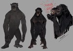 black_body duo feral frown intimidation male open_mouth scowl semi-anthro slim standing teeth text yelling dodddraws koba_(planet_of_the_apes) rocket_(planet_of_the_apes) ape haplorhine mammal primate hi_res