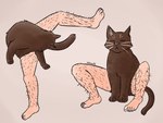 ambiguous_gender black_body black_fur eyes_closed feral fur hairy_legs humanoid_legs inner_ear_fluff raised_leg simple_background sitting solo split_form tail tan_background tuft what alibeatsss domestic_cat felid feline felis human hybrid mammal reverse_taur 2023 hi_res multiple_images signature