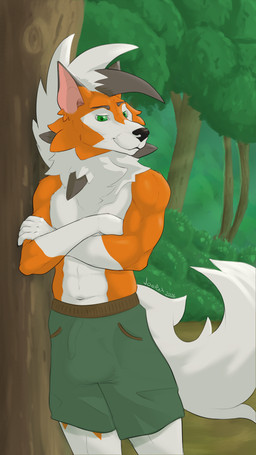 bottomwear bulge clothing male muscular outside shorts solo joerat nintendo pokemon canid canine dusk_lycanroc generation_7_pokemon lycanroc mammal pokemon_(species) 9:16 absurd_res hi_res