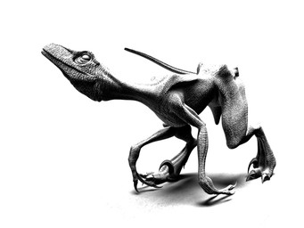 3_fingers 3_toes ambiguous_gender biped bipedal_feral claws digitigrade emaciated emaciated_feral empty_eyes feet feral fingers long_tail scales sickle_claw simple_background skinny solo standing tail toe_claws toes white_background deino_(artist) deinonychus dinosaur dromaeosaurid prehistoric_species reptile saurischian scalie theropod 2008 3d_(artwork) 4:3 autodesk_3ds_max_(artwork) digital_media_(artwork) full-length_portrait greyscale monochrome portrait