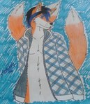 2015 3_tails acewolfy1996 anthro blue_eyes blue_hair canid canine clothing fox hair jacket male mammal multi_tail solo tail taluthus topwear traditional_media_(artwork)