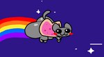 :3 big_butt bouncing_butt butt feral fur grey_body grey_fur looking_at_viewer rainbow_trail solo space star superiorfox nyan_cat_(copyright) nyan_cat domestic_cat felid feline felis mammal 2023 animated digital_media_(artwork) meme short_playtime