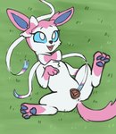 animal_genitalia animal_pussy anus canine_genitalia canine_pussy female feral genitals pawpads pussy simple_background solo spread_pussy spreading naachi nintendo pokemon eeveelution generation_6_pokemon pokemon_(species) sylveon sketch