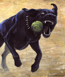 ambiguous_gender ball collar fangs feral open_mouth solo teeth tennis_ball tongue kenket canid canine canis domestic_dog mammal 2015 traditional_media_(artwork)