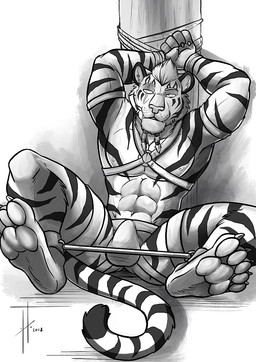 abs anthro bdsm bondage bound bulge cheek_tuft claws clothed clothing erection erection_under_clothing eye_scar facial_scar facial_tuft front_view hair hands_tied harness jockstrap looking_at_viewer male male_anthro muscular muscular_anthro muscular_male navel pawpads pecs restraints scar short_hair sitting solo spread_legs spreader_bar spreading toe_claws topless tuft underwear hufnaar felid mammal pantherine tiger 2018 dated hi_res monochrome