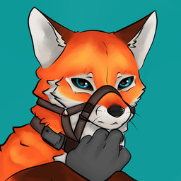 ambiguous_gender black_nose blue_eyes collar countershading dark_ears eye_markings feral fur halter inner_ear_fluff looking_at_viewer markings muzzle_(object) muzzled orange_body orange_fur simple_background solo tracking_collar tuft whiskers white_inner_ear_fluff cdt2s canid canine fox mammal red_fox true_fox 1:1