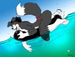 back biceps black_fur black_hair black_nose border_collie canine claws dog filut fur gnaw green_eyes grin hair half-erect happy hyper hyper_penis male mammal muscles open_mouth penis pose smile solo swimming swimsuit teeth toe_claws tongue topless water wet white_fur wuffamute
Rating: Explicit
Score: 6
User: Peekaboo
Date: December 27, 2013