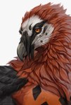 anthro beak male simple_background solo white_background silgiriya_mantsugosi levante_(enlas) accipitrid accipitriform avian bearded_vulture bird old_world_vulture vulture digital_drawing_(artwork) digital_media_(artwork) headshot_portrait hi_res portrait