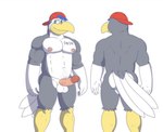 abs anthro backwards_baseball_cap backwards_hat balls baseball_cap beak blue_eyes blue_hair butt clothing feathers front_view genitals grey_body grey_feathers hair hat headgear headwear humanoid_genitalia humanoid_penis male nipples pecs penis rear_view solo tail white_tail rain-yatsu avian digital_media_(artwork) portrait three-quarter_portrait