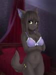 anthro bottomless bra breasts clothed clothing felid female genitals hi_res looking_at_viewer mammal puivei pussy smile solo standing underwear