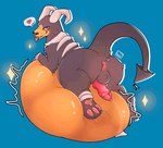 belly big_belly big_butt bodily_fluids bone brown_body brown_fur bulge butt cum ejaculation feral fur genital_fluids genitals grey_body grey_fur horn huge_belly huge_butt hyper hyper_belly knot knotted_penis male pawpads penis smile smiley_face solo tail thick_thighs tongue tongue_out vore martovskii nintendo pokemon generation_2_pokemon houndoom pokemon_(species) 2d_animation animated motion_tweening