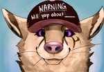 baseball_cap clothing feral hat headgear headwear humor looking_at_viewer purple_sclera smile text whiskers pleaxwolf canid canine fox mammal english_text hi_res reaction_image