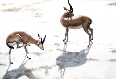 brown_body brown_fur duo feral fur hoofprint horn quadruped snow white_underside renum63 antelope bovid gazelle mammal 2014 artrage_(artwork) digital_media_(artwork) digital_painting_(artwork) painting_(artwork)