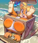 4_toes anthro blonde_hair brown_body brown_fur butt clothed clothing day eyebrows eyelashes feet female fingers flower fur hair outside panties plant seaside soles solo toes underwear water young young_anthro young_female flo activision crash_bandicoot_(series) coco_bandicoot bandicoot mammal marsupial hi_res