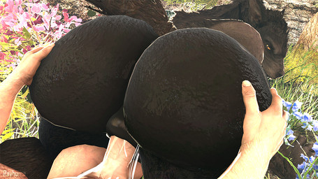 anal anal_penetration anthro anthro_penetrated anus balls big_butt black_body black_fur bodily_fluids butt butt_focus butt_grab cum cum_in_ass cum_inside cum_string duo first_person_view fur genital_fluids genitals hand_on_butt human_on_anthro human_penetrating human_penetrating_anthro humanoid_genitalia humanoid_penis interspecies looking_at_another looking_back looking_back_at_another male male/male male_anthro male_human outside outside_sex penetration penis puffy_anus sex tail vein veiny_penis yellow_eyes rayhuma bethesda_game_studios microsoft mythology skyrim the_elder_scrolls skyrim_werewolf canid canine canis human mammal mythological_canine mythological_creature werecanid werecanine werecreature werewolf wolf 2025 3d_(artwork) better_version_at_paywall digital_media_(artwork) source_filmmaker_(artwork)