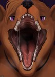 ambiguous_gender anthro black_nose bodily_fluids brown_body brown_fur brown_hair fangs front_view fur glistening glistening_eyes hair looking_at_viewer mouth_shot open_mouth purple_background purple_eyes red_tongue saliva saliva_on_tongue saliva_string simple_background solo teeth text tongue roobin canid mammal artist_name bust_portrait hi_res portrait