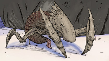 arthropod_abdomen arthropod_abdomen_genitalia cloacal_penis feral genitals male outside penis presenting presenting_genitalia presenting_penis solo gummi_art 2k_games borderlands alien arthropod spiderant hi_res