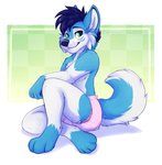 anthro blue_body blue_fur blue_hair clean_diaper clothed clothing countershading diaper diaper_only fluffy fluffy_tail fur green_eyes hair male muzzle_scabs paws sitting solo tail topless wearing_diaper white_body white_fur applepup wintie canid canine canis domestic_dog husky mammal nordic_sled_dog spitz 2020