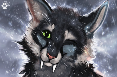 black_body black_fur day detailed_background feral fur green_eyes grey_body grey_fur one_eye_closed outside raining sky solo teeth flashw felid feline mammal 2021 digital_media_(artwork) digital_painting_(artwork) painting_(artwork)