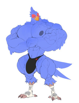 anthro beak big_muscles big_pecs bird_legs blue_body bulge clothing feathers feet huge_muscles huge_pecs hyper hyper_muscles male muscular muscular_male nipples pecs pose quads simple_background solo talons thong toes underwear vein veiny_muscles white_background yellow_beak majestictweive neonavis nintendo star_fox star_fox_(2026) falco_lombardi avian 2026 hi_res