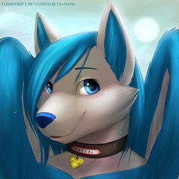 anthro blue_eyes blue_hair blue_nose cloud collar collar_tag female fur hair inner_ear_fluff looking_at_viewer outside sky smile snout solo sun text tuft white_body white_fur wings zeta-haru selene_(star11) canid canine canis mammal wolf 2013 headshot_portrait portrait url