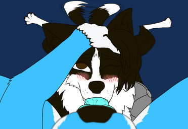 age_difference animal_genitalia anthro black_body black_fur black_hair black_nose blue_body blush brown_eyes brown_pawpads cybernetic_arm cybernetic_limb duo fellatio first_person_view freckles fur genitals hair hand_on_head knot knotted_penis looking_at_viewer male male/male multicolored_body multicolored_fur one_eye_closed oral oral_penetration pawpads paws penetration penile penile_penetration penis penis_in_mouth prosthetic prosthetic_arm prosthetic_limb sex simple_background tail tail_motion tailwag teal_penis transparent_background thealias0 celtic_ivanov daygon_pyre border_collie canid canine canis collie domestic_dog herding_dog hybrid mammal pastoral_dog sheepdog wolfdog alpha_channel hi_res