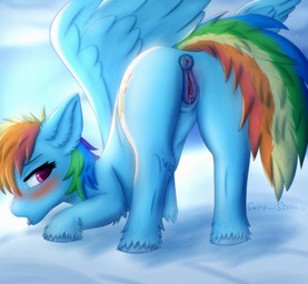 animal_genitalia animal_vulva anus bedroom_eyes bent_over big_tail blue_body blue_fur blush bodily_fluids butt cloud cutie_mark equine_genitalia equine_vulva eyelashes female feral fur genital_fluids genitals hair hooves looking_at_viewer looking_back mane mane_hair multicolored_hair multicolored_tail narrowed_eyes outside pink_eyes presenting presenting_anus presenting_hindquarters presenting_vulva puffy_anus rainbow_hair raised_tail rear_view saliva seductive sky skyscape solo tail tongue vaginal_fluids vulva wings stellaamoris friendship_is_magic hasbro my_little_pony mythology rainbow_dash_(mlp) equid equine horse mammal mythological_creature mythological_equine pegasus pony hi_res