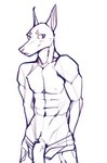 anthro blush clothed clothing genitals male muscular muscular_anthro muscular_male penis solo mozeeeeeeeee canid canine canis dobermann domestic_dog mammal pinscher absurd_res hi_res sketch