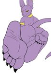 5_toes anus backsack balls butt claws feet foot_fetish foot_focus genitals hairless humanoid_feet looking_at_viewer male nude perineum plantigrade presenting presenting_hindquarters simple_background skin_folds soles solo toe_claws toes cyborg-steve darkshiner8 dragon_ball dragon_ball_super beerus deity domestic_cat felid feline felis hairless_cat mammal absurd_res hi_res