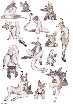3_toes 4_toes all_fours anatomically_correct anatomically_correct_cloaca anatomically_correct_genitalia anatomically_correct_penis animal_genitalia animal_penis anthro anus areola arm_above_head arm_support attached_sheath backward_arm_support balls baseball_cap bdsm belly belly_blush bent_leg bent_legs big_belly biped black_hooves black_markings black_nipples black_nose black_pawpads blep blush bodily_fluids body_blush bondage bound bra breasts burrito butt claws cleavage cloaca cloacal_penis clothed clothing cloven_hooves confusion countershade_arms countershade_face countershade_fur countershade_legs countershade_tail countershade_torso countershading crossed_arms curled_up dewclaw_hooves digitigrade dildo dildo_fellatio dildo_in_mouth dipstick_ears dipstick_tail dock_(anatomy) ear_markings eating eating_food erection eyebrows eyes_closed facial_markings feet fingerless_(marking) fingerpads food forward_arm_support front_view full_foot_pawpads fully_sheathed fur fur_markings gag genitals green_bra green_clothing green_sports_bra green_underwear grey_body grey_clothing grey_fur grey_jacket grey_topwear gynomorph hairless_balls half-closed_eyes hand_behind_head hand_between_legs hand_on_butt hand_on_head hand_on_own_belly hand_on_own_butt hands_behind_back hat head_markings head_tilt headgear headwear heart_symbol holding_dildo holding_food holding_object holding_sex_toy hooves intersex jacket kneeling knees_pulled_up lactating leaning_on_elbow leg_spreader legs_above_head long_tail looking_at_belly looking_at_hand looking_at_own_belly looking_at_self looking_at_viewer looking_away looking_back looking_back_at_viewer looking_up markings medium_breasts mostly_nude mostly_nude_anthro mostly_nude_gynomorph multicolored_body multicolored_ears multicolored_fur narrowed_eyes navel neck_markings neck_tuft nipples notched_ear nude nude_anthro nude_gynomorph on_one_leg one_ear_up one_leg_up open_clothing open_jacket open_mouth open_smile open_topwear oral oral_penetration partially_clothed partially_clothed_anthro partially_clothed_gynomorph pawpads paws penetration penis penis_tip pink_balls pink_feet pink_nipples pink_nose pink_tail plantigrade pose pouch_(anatomy) pregnant pregnant_anthro pregnant_gynomorph pregnant_intersex presenting presenting_anus presenting_hindquarters question_mark raised_arm raised_eyebrow raised_leg raised_tail rear_view red_heart restraints ring_gag scut_tail sex_toy sex_toy_fellatio sex_toy_in_mouth sex_toy_insertion sheath short_tail side_view simple_background sitting small_balls small_breasts smile smiling_at_viewer soles solo sports_bra spots spotted_markings spread_cloaca spread_legs spreader_bar spreading standing stretching tail tail_anus tail_markings tan_body tan_fur tapering_penis text toeless_(marking) toes tongue tongue_out topwear tuft two_tone_body two_tone_fur underhoof underwear unguligrade upside_down whisker_spots white_background white_body white_countershading white_fur yawn yellow_sclera lizet lily_(lizet) liz_(lizet) moira_(lizet) canid canine canis coyote deer kangaroo macropod mammal marsupial murid murine rat rodent 2023 artist_name bust_portrait dated digital_media_(artwork) flat_colors full-length_portrait hi_res multiple_images portrait trans_(lore) trans_woman_(lore)