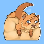 anthro belly big_belly blue_eyes chibi hair huge_belly hyper hyper_belly male orange_body paws piercing solo tail vore martovskii mammal mustelid otter