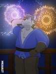 anthro asian_clothing brown_body brown_fur clothing east_asian_clothing fireworks fundoshi fur happi_(clothing) japanese_clothing male night scar solo underwear mkaiast lifewonders tokyo_afterschool_summoners moritaka_(tas) canid canine canis domestic_dog mammal 3:4 absurd_res hi_res