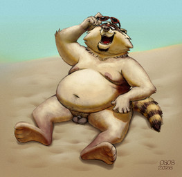 anthro balls beach belly big_belly eyewear genitals male micropenis moobs navel nipples overweight overweight_male penis sitting small_penis solo sunglasses osos mammal procyonid raccoon 2026