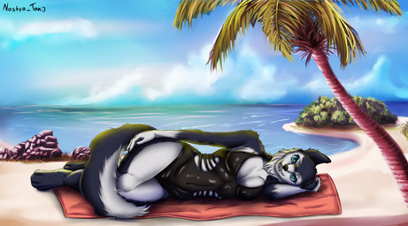 anthro beach black_body black_fur black_nose blue_eyes clothing cloud countershade_face countershade_torso countershading day female fur gloves_(marking) looking_at_viewer lying markings multicolored_body multicolored_fur on_side one-piece_swimsuit open_mouth outside palm_tree pink_tongue plant rock sand seaside solo sun swimwear teeth tongue tree two_tone_body two_tone_fur water white_body white_countershading white_fur nastya_tan canid canine canis domestic_dog husky mammal nordic_sled_dog spitz wolf absurd_res hi_res