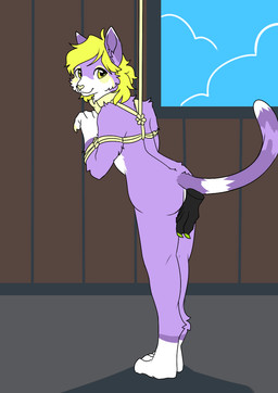 ambiguous_gender animated_heart anthro bdsm blonde_hair bondage bound bow_(feature) bow_tie butt butt_slap duo ear_flick female female/ambiguous hair heart_symbol slap solo_focus spanking tail tail_motion tailwag conditional_dnp elvche domestic_cat felid feline felis mammal 2d_animation animated digital_media_(artwork)
