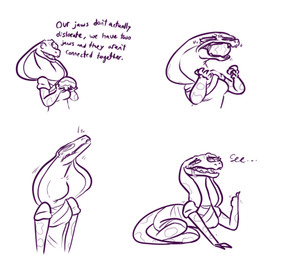 anthro bodily_fluids clothed clothing eating female food food_in_mouth fruit gesture hand_gesture humor long_neck melon neck_bulge plant smile snake_hood solo struggling swallowing tears text thumbs_up watermelon ncs keeshee cobra lamarian reptile scalie snake 2019 english_text hi_res