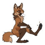 anthro biped black_eyes brown_body brown_fur clothing footwear fur gloves_(marking) humor leg_markings looking_at_viewer male markings pun simple_background slim_anthro slim_male socks socks_(marking) solo visual_pun white_background tatujapa canid canine mammal maned_wolf 1:1 2024