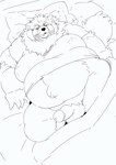 anthro balls bed bedding belly big_belly blanket bodily_fluids clothing furniture genital_fluids genitals kemono lying male moobs overweight overweight_male penis pillow precum shirt solo topwear sigenoya takotyutyu canid canine mammal raccoon_dog tanuki 2023 absurd_res hi_res monochrome sketch