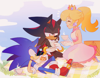 anthro blonde_hair clothing container cookie crown cup dress ear_piercing eating eyelashes female food footwear gloves grass green_eyes group hair handwear headgear long_hair lying male outside piercing plant red_eyes shoes tail tea_cup trio scuttletown mario_bros nintendo sega sonic_the_hedgehog_(series) princess_peach shadow_the_hedgehog sonic_the_hedgehog eulipotyphlan hedgehog human mammal 2018