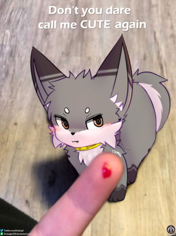 angry bite blood_drop blush blush_lines feral fingers fur grey_body grey_fur male real solo text senz real_world sean_(senz) human iradeon mammal absurd_res english_text hi_res meme url