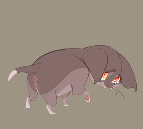 anus bodily_fluids crying female feral genital_fluids genitals solo tail tears vaginal_fluids vulva x_anus young young_female young_feral mvuttaroo warriors_(book_series) fan_character domestic_cat felid feline felis mammal