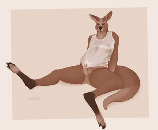 anthro balls balls_above_penis bottomless bottomless_anthro bottomless_male brown_body brown_fur clothed clothing erection fur genitals humanoid_genitalia humanoid_penis male male_anthro penis shirt simple_background sitting solo tail tan_background tan_body tan_fur tan_penis topwear wet wet_clothing wet_shirt wet_topwear mintyderg kangaroo macropod mammal marsupial 2016 hi_res