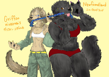 anthro belt big_breasts black_body black_fur black_pawpads blue_eyes bottomwear bra breasts brown_body brown_eyes brown_fur claws cleavage clothed clothing denim denim_bottomwear denim_clothing dog_toy duo ear_piercing ear_ring female floppy_ears fluffy fluffy_tail fur gesture hand_gesture jacket jewelry kemono looking_at_viewer membrane_(anatomy) navel necklace open_clothing orange_text panties pants pawpads piercing red_clothing ring_piercing rope_toy shirt simple_background smile tail teeth text tongue tongue_out topwear underwear v_sign webbed_hands white_bra white_clothing white_underwear yellow_background yellow_belt kyokyota canid canine canis domestic_dog griffon_nivernais hunting_dog mammal molosser mountain_dog newfoundland_dog 2019 absurd_res digital_drawing_(artwork) digital_media_(artwork) english_text hi_res japanese_text shaded