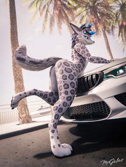 anthro car fur hair male pawpads paws smile solo tail teasing teasing_viewer teasing_with_butt vehicle mrgaleo felid mammal pantherine rexouium snow_leopard 3:4 3d_(artwork) blender_(artwork) blender_cycles_(artwork) digital_media_(artwork) hi_res