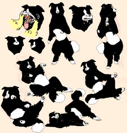 ambiguous_gender black_body black_fur duo feral fur simple_background solo_focus tan_background white_body white_fur 2n2n border_collie canid canine canis collie domestic_dog herding_dog mammal pastoral_dog sheepdog 2015 sketch_page