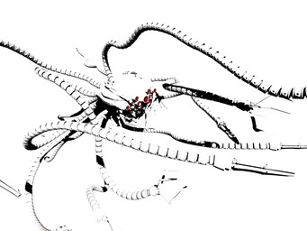 ambiguous_gender claws feral machine mechanical_tentacles multi_eye multi_tentacle not_furry red_eyes science_fiction segmented simple_background solo tentacles white_background white_body deino_(artist) the_matrix robot robot_feral sentinel_(the_matrix) 2008 3d_(artwork) 4:3 autodesk_3ds_max_(artwork) digital_media_(artwork) light_theme