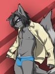 anthro black_nipples black_nose blue_clothing blue_underwear bulge cheek_tuft chest_tuft clothed clothing facial_tuft fur grey_body grey_fur grey_hair hair looking_at_viewer male markings nipples open_clothing open_shirt open_topwear pecs pose pubes purple_eyes ring_(marking) ringed_tail shirt simple_background solo striped_markings striped_tail stripes tail tail_markings topwear tuft underwear v-cut arrwulf mammal procyonid raccoon 2012 3:4 pinup portrait three-quarter_portrait