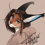 anthro brown_hair clothed clothing eyebrows eyelashes female green_eyes hair smile solo dafka bufl_(dafka) caracal caracal_(genus) felid feline mammal 1:1 2022 digital_media_(artwork) low_res